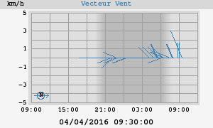 Wind Vector