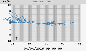 Wind Vector